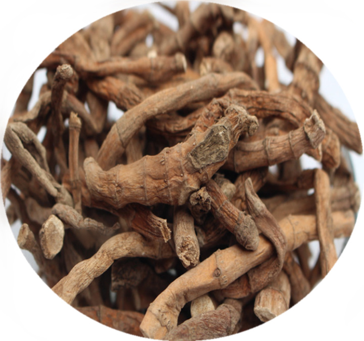 三白草根的多样别称与初级农产品属性