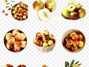 新鲜冬枣 脆甜多汁的水果及其免抠素材资源