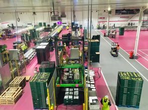 阳光下的品质之旅 探访西班牙葡萄园的三重守护