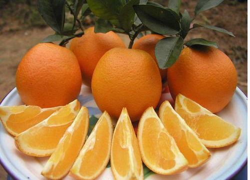 江西物产丰饶，品味赣鄱大地的鲜美之果