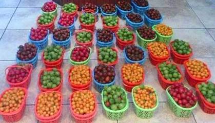 中国三农行业前景探析 水产品行业的出路与机遇