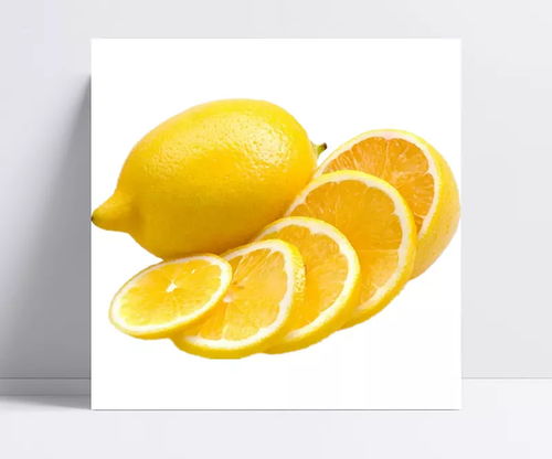 新鲜柠檬切片 顽皮绅士桑落的设计元素