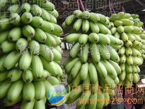 小米蕉批发采购指南 厂家直供、价格行情与优质平台推荐