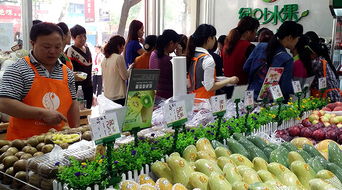 长沙市绿叶农产品贸易 绿叶水果，品质与健康的双重保障